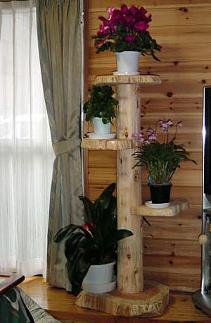 天然木の丸太や切り株、輪切り板を使用した木製の花台、プランター台
